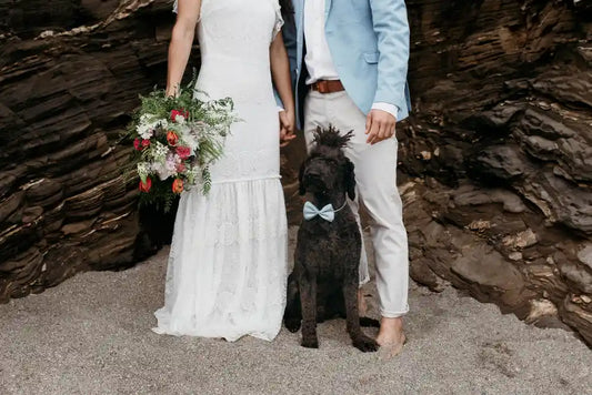 A Guide to Incorporating Animals in Your Wedding